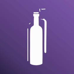 BOTELLA 1030084