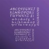 ABECEDARIO 2 2025265