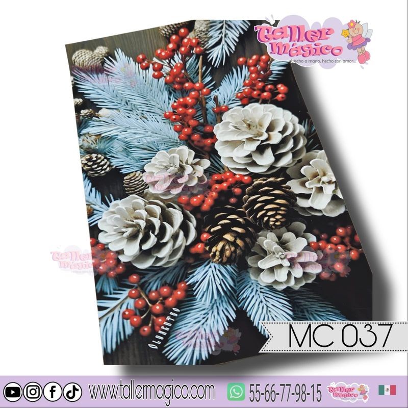 CROMO PIÑAS BLANCAS MC 037