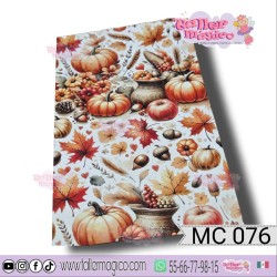 CROMO PUMPKIN GS MC 076