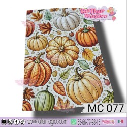 CROMO CALABAZAS MAGICAS MC 077