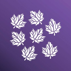 TEXTURA OTOÑAL 1313098